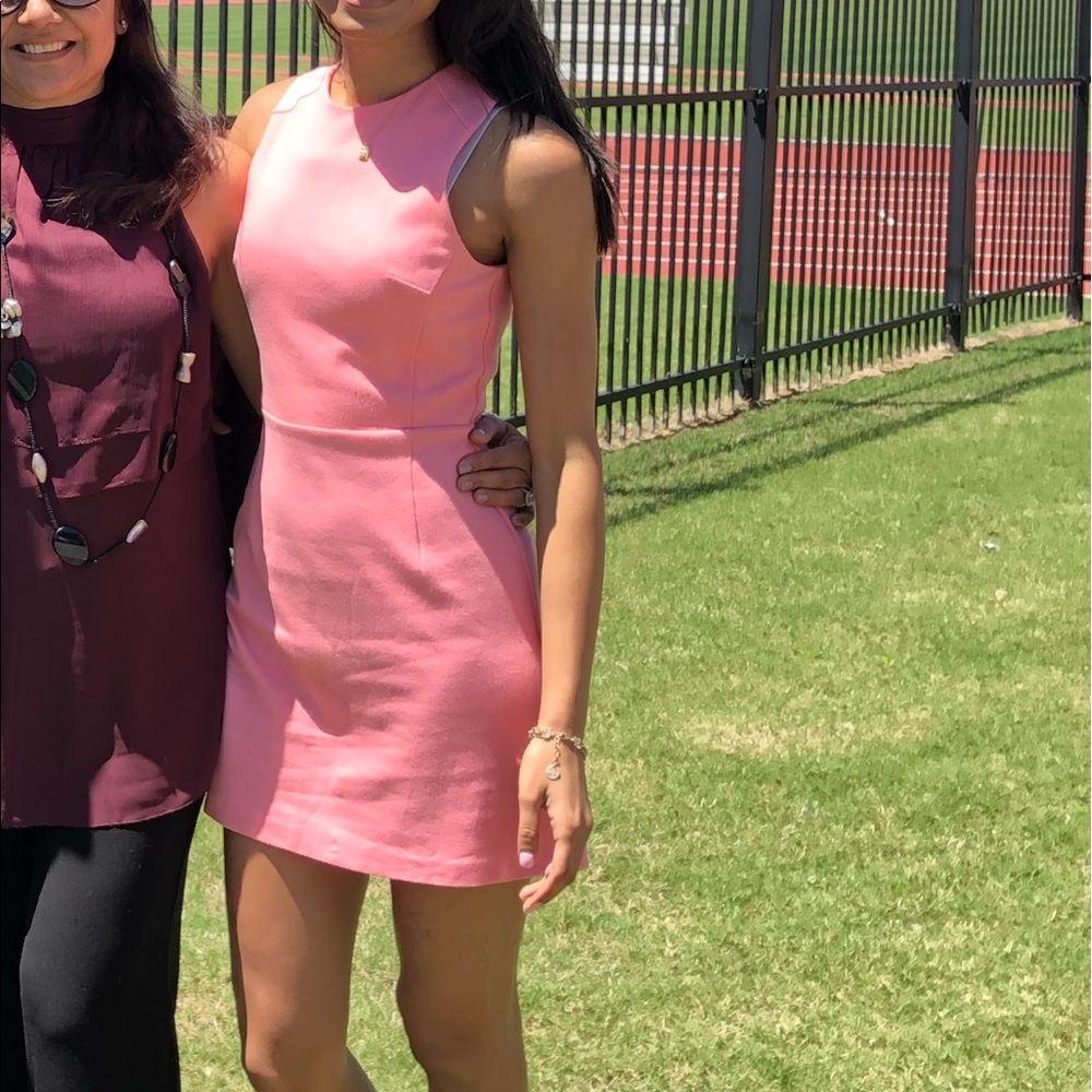 French Connection Sundae Pink Dress Size 0